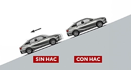 Seguridad modelo thumb